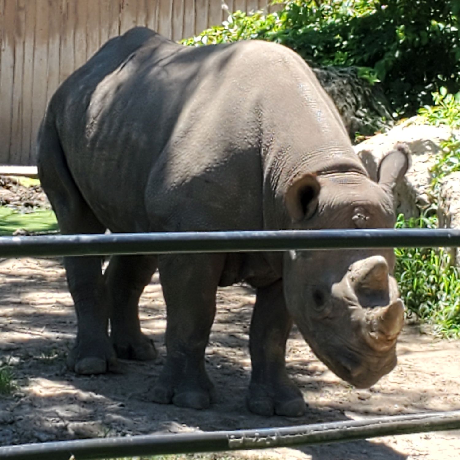 Sedgwick County Zoo 